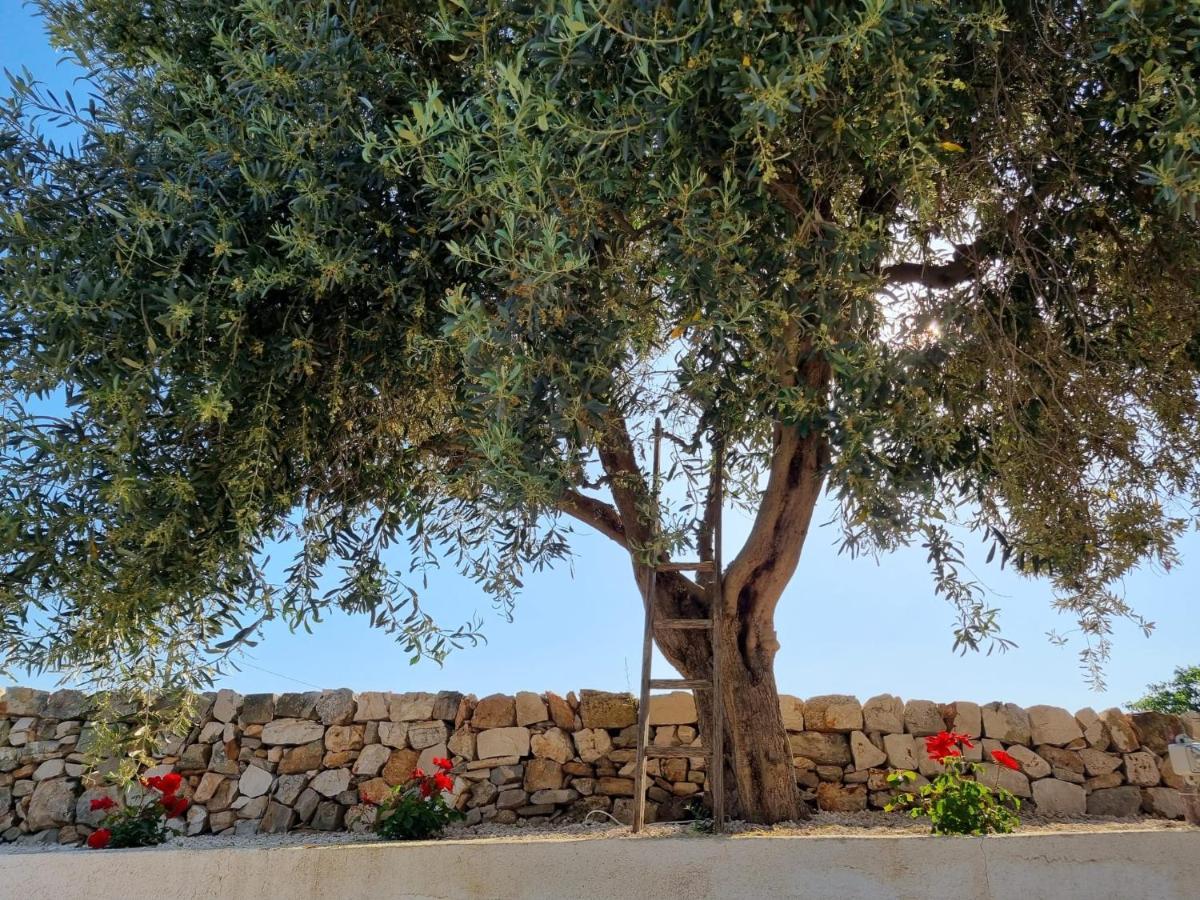 Bei Tempi Villa Polignano a Mare Exteriör bild