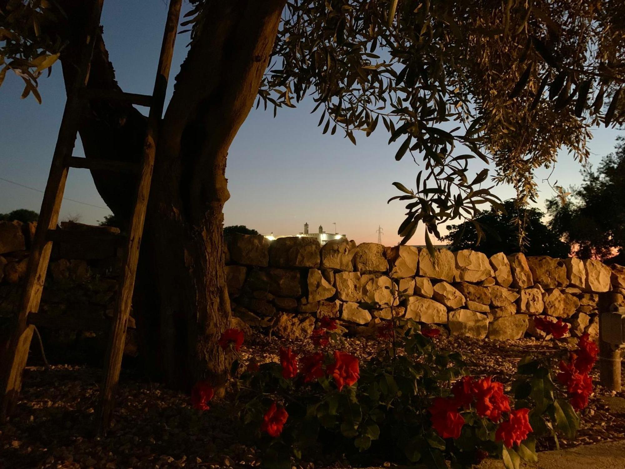 Bei Tempi Villa Polignano a Mare Exteriör bild