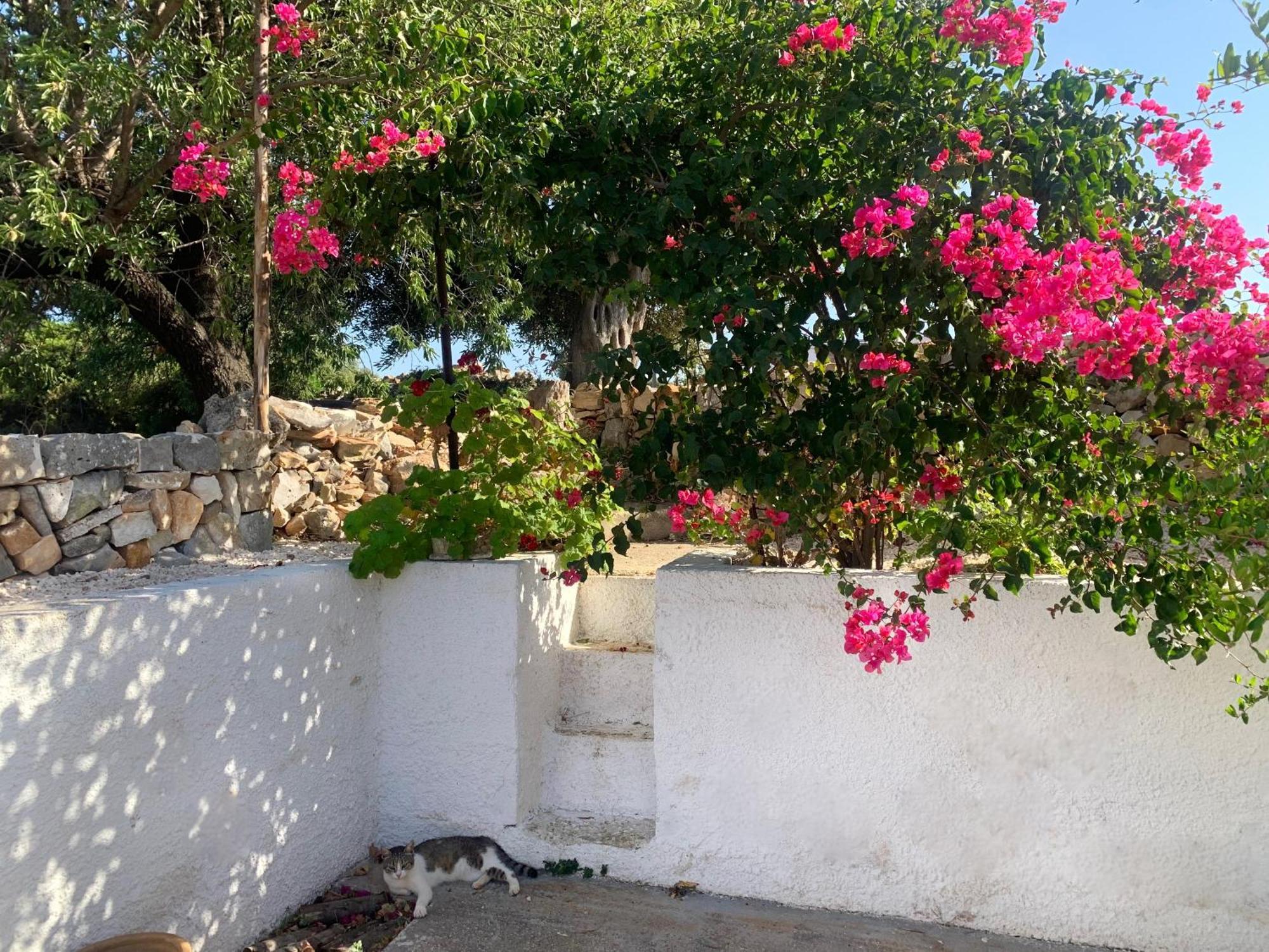 Bei Tempi Villa Polignano a Mare Exteriör bild